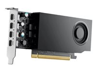 NVIDIA RTX A1000 - Grafikkort - RTX A1000 - 8 GB GDDR6 - PCIe 4.0 x8 lav profil - 4 x Mini DisplayPort DELL-WN82J