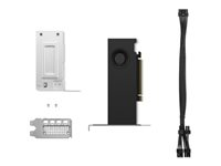 NVIDIA RTX 2000 Ada - Grafikkort - NVIDIA RTX 2000 Ada - 16 GB GDDR6 - PCIe 4.0 x8 lav profil - 4 x DisplayPort 4X61P69962